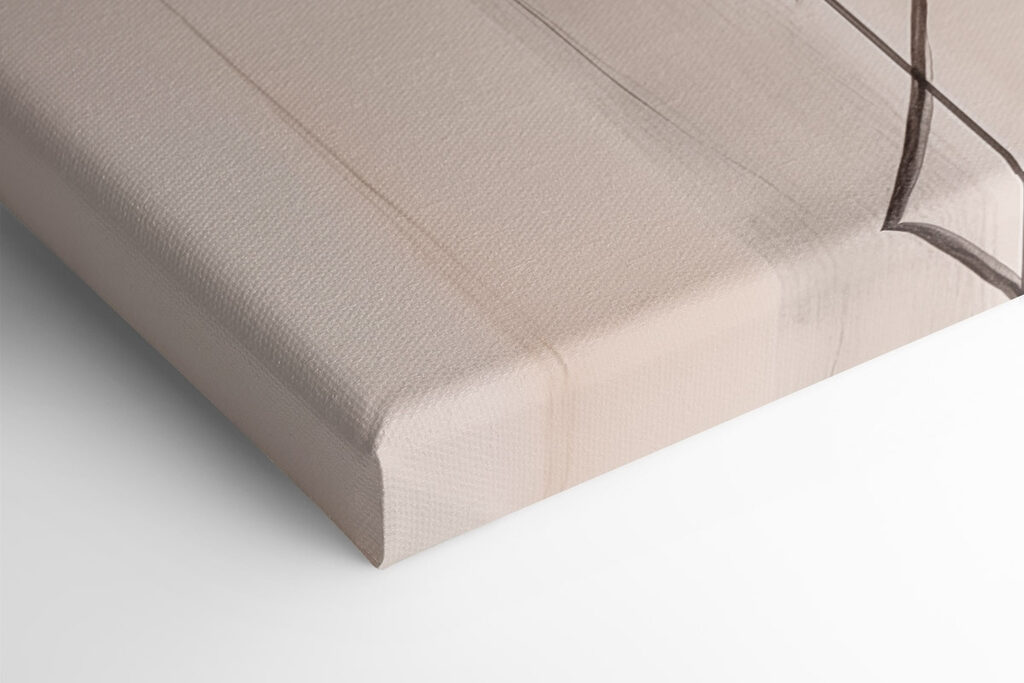 Dynamic curves in soft tones