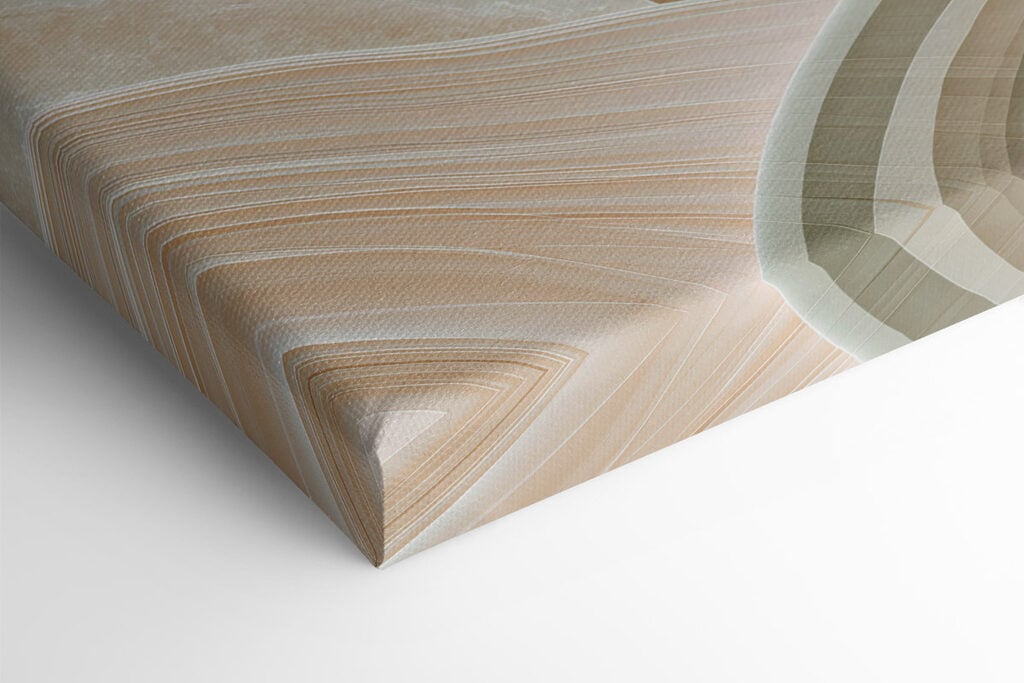 - Soft curves and flowing lines unite