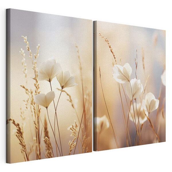 Soft petals in gentle sunlight