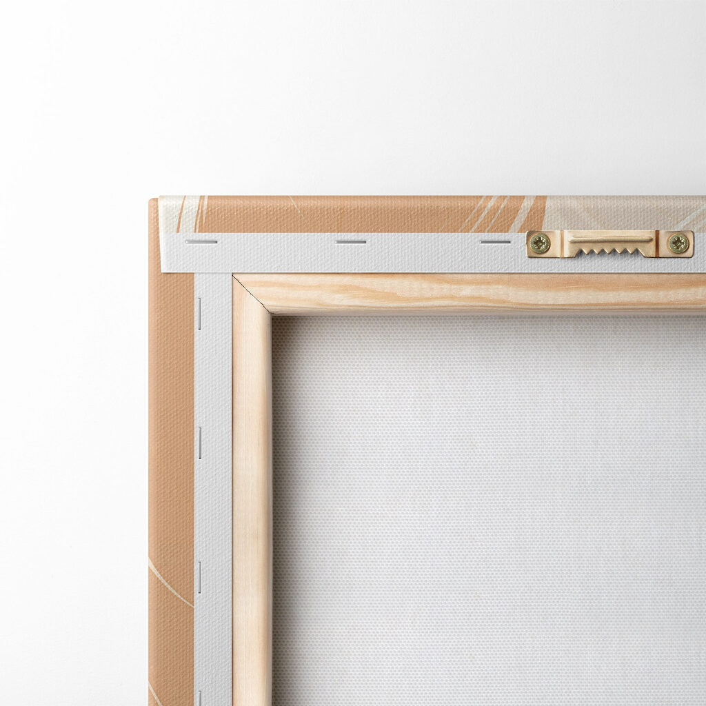 Soft hues of elegant feathers