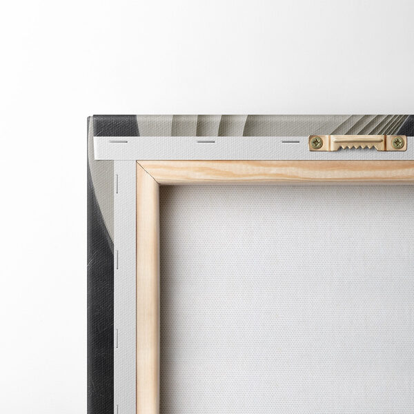 Fluid shapes in contrasting colors