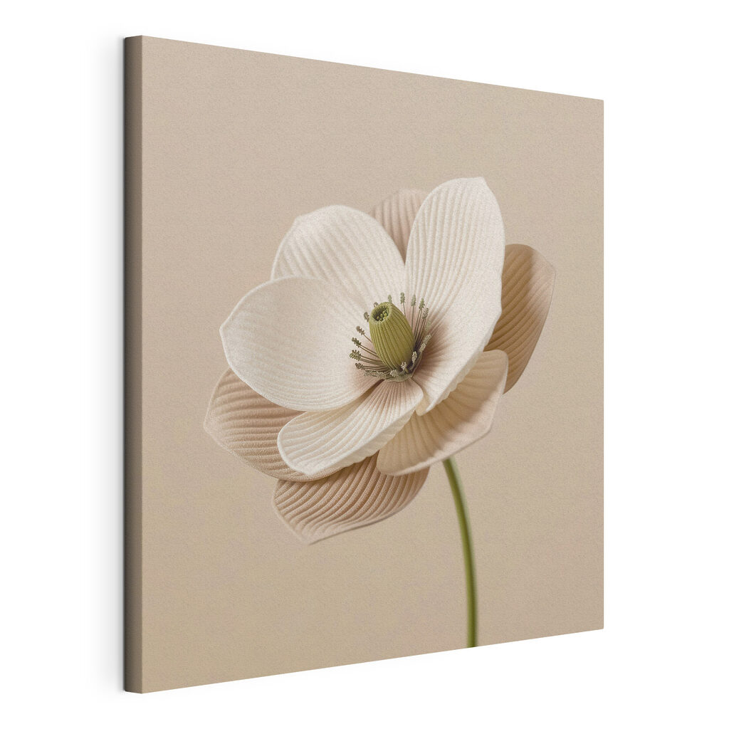 Delicate flower with soft petals